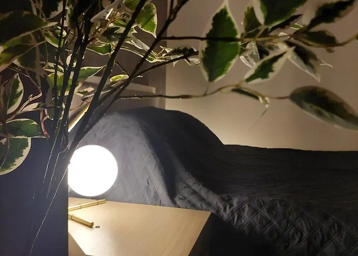 Zepterme 012 Vrnjačka Banja